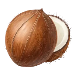 Imagen PNG para descargar